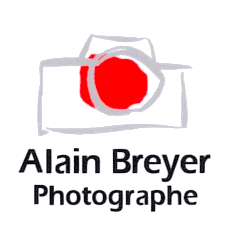 Logo Breyer